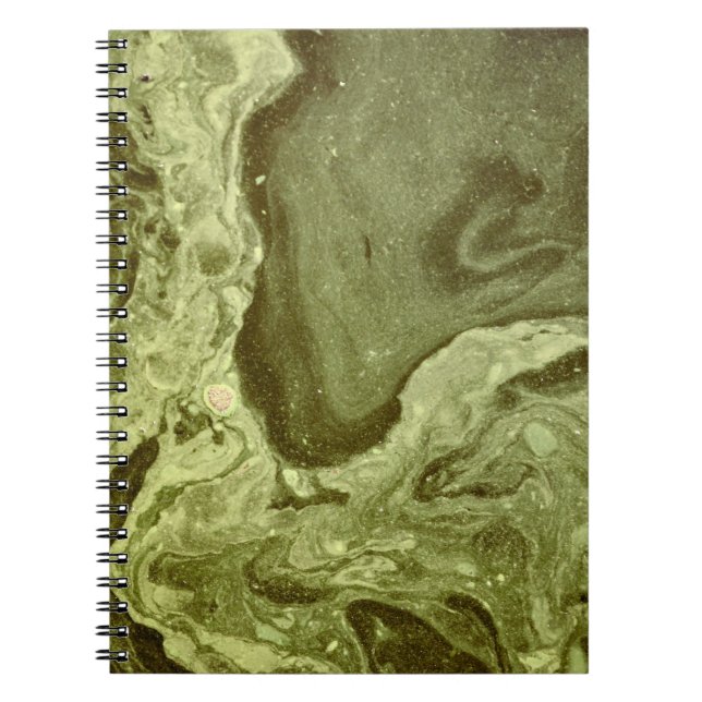 Dirty Notebook (Front)