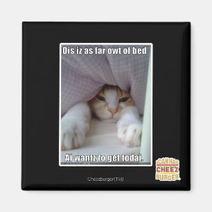 Dis iz as far owt of bed.. magnet