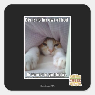 Dis iz as far owt of bed.. square sticker