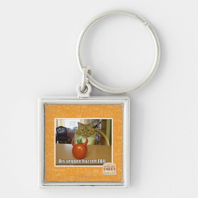 Dis veggee haz the EBIL Key Ring (Front)