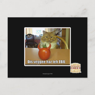 Dis veggee haz the EBIL Postcard