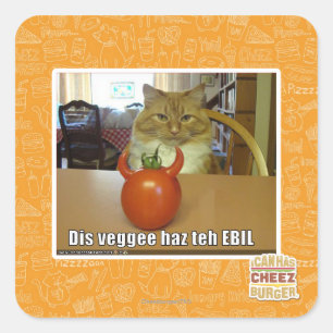 Dis veggee haz the EBIL Square Sticker