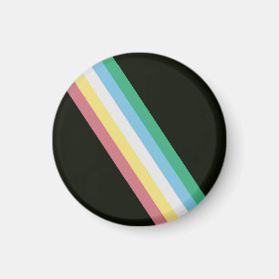 Disability Pride Flag Magnet