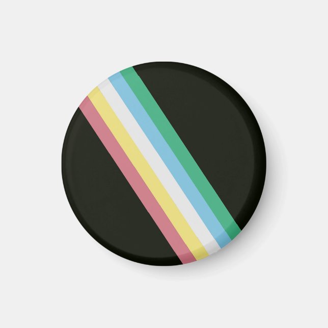 Disability Pride Flag Magnet (Front)