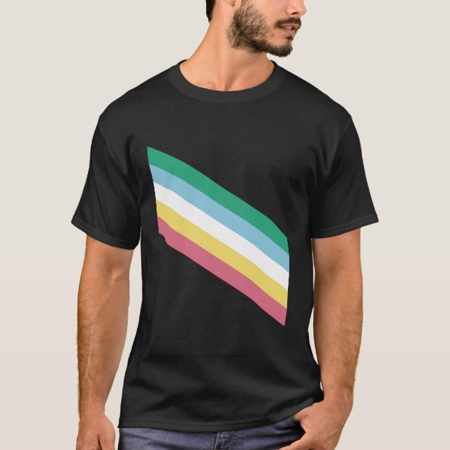 Disability Pride Flag T-Shirt (Front)