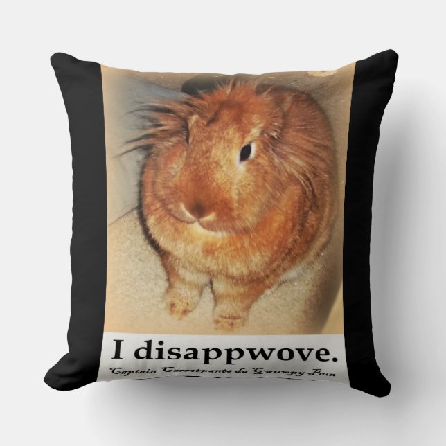 Disapproving Bunny Rabbit Double Sided Pillow (Front)