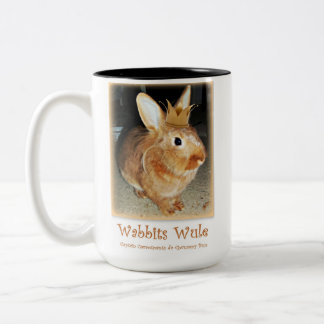Disapproving Bunny Rabbit Mug