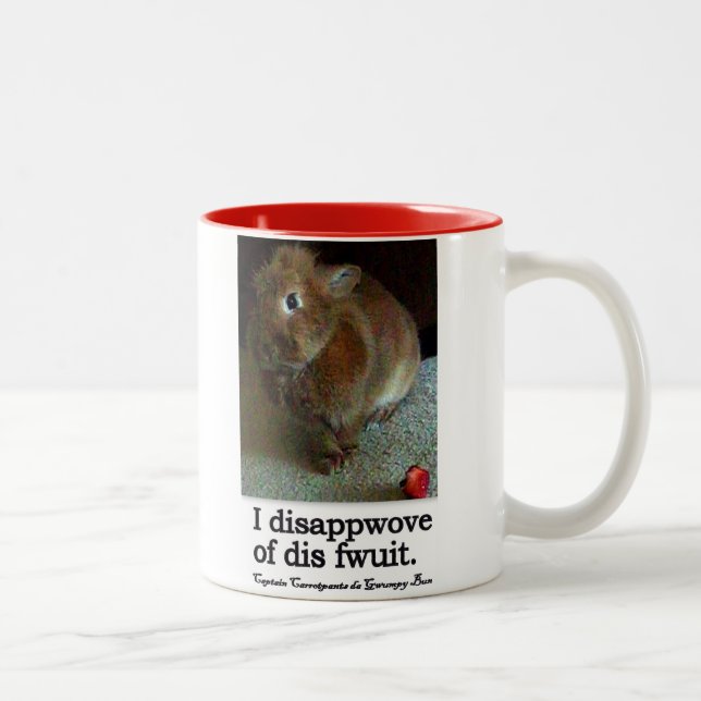 Disapproving Bunny Rabbit Two Tone Mug (Right)