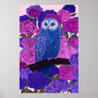 Discerning Owl