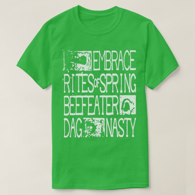 Dischord Revolution Summer Embrace Rites of Spring T-Shirt (Design Front)