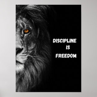 Discipline Is Freedom Ultra Close Up Lion Head Poster