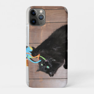 Disco iPhone 11 pro case