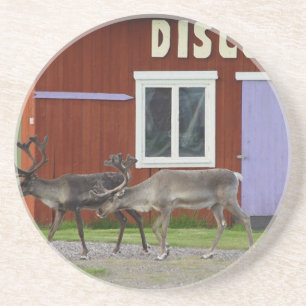 DISCO DEER COASTER
