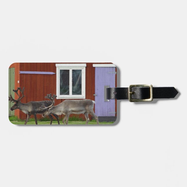 DISCO DEER LUGGAGE TAG (Front Horizontal)