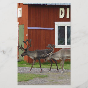 DISCO DEER STATIONERY