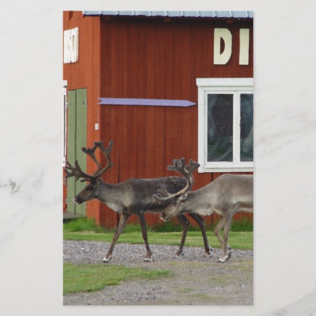 DISCO DEER STATIONERY (Front)