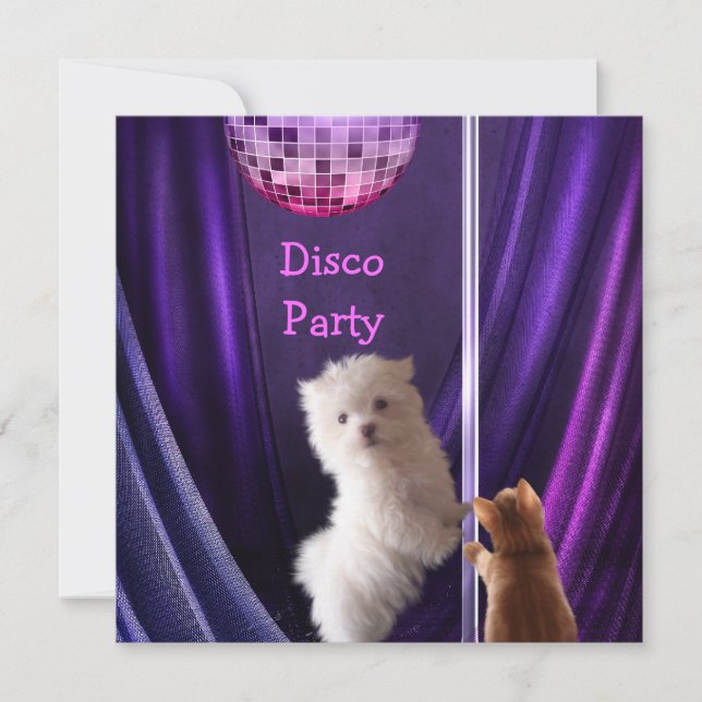 Disco Party Dog Cat Maltese Bachelorette Invitation (Front)