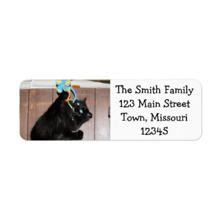 Disco Return Address Label