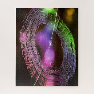 Disco Spider Web Colourful Fun Puzzle
