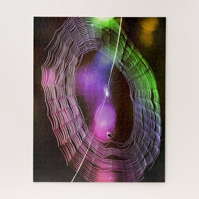 Disco Spider Web Colourful Fun Puzzle (Vertical)