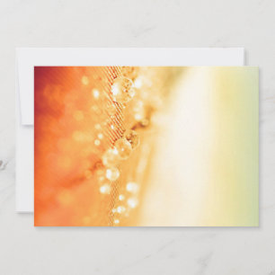 Discover Elegant Flat Save the Date Cards