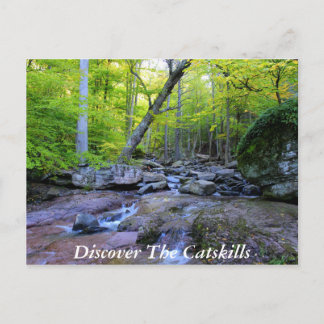 Discover the Catskills 5 Postcard