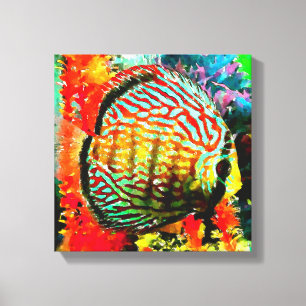 Discus aquarium fish canvas print