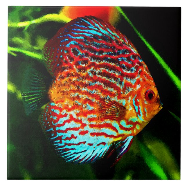 Discus aquarium fish decorative tile (Front)