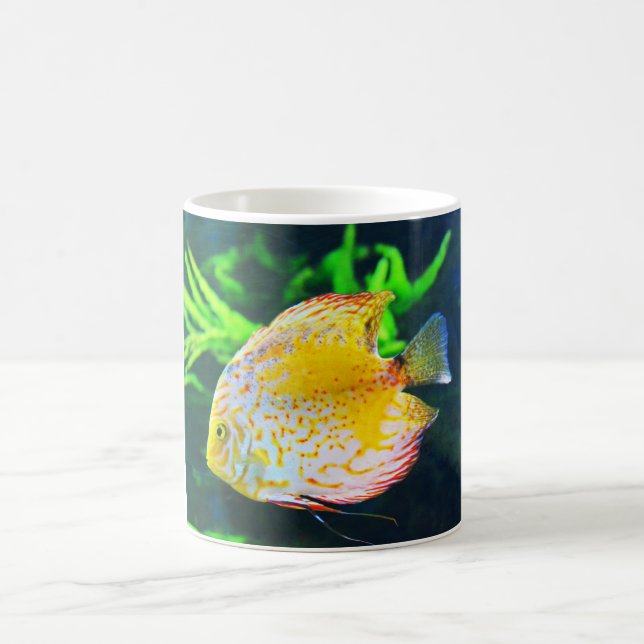 Discus fish coffee mug (Center)