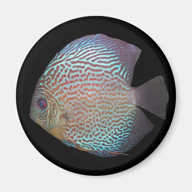 Discus magnet 2 (Front)
