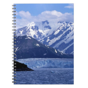 Disenchantment Bay and Hubbard Glacier, Notebook