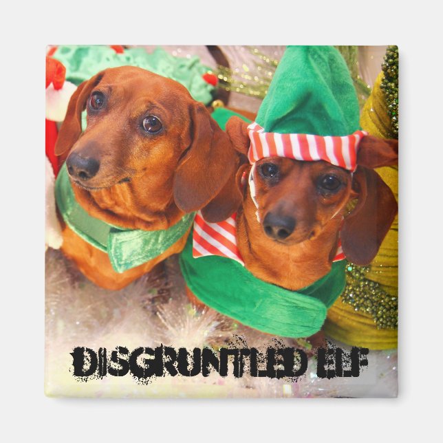 Disgruntled Elf Dog Magnet (Front)