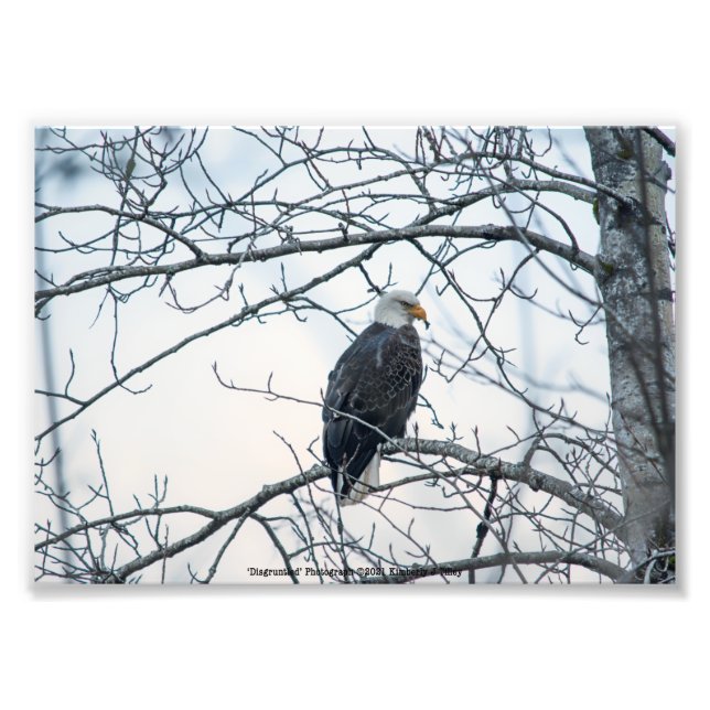 Disgruntled Photo Print (Front)