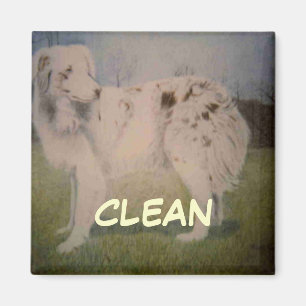 Dish Washer Status Magnet