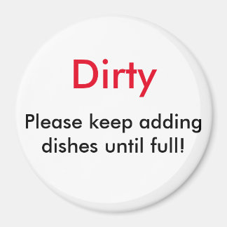 Dishwasher Magnets Dirty