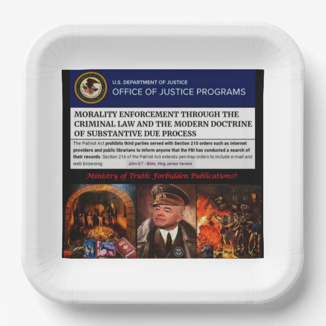 Disinformation review board paper plate (Front)