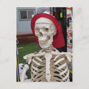 Display Skeleton Postcard