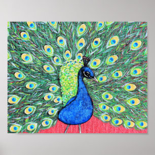 Displaying Peacock Painting Poster