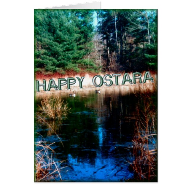 Distant Swimmers (Front)