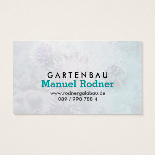 Distelblüten