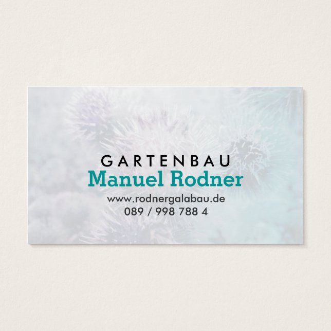 Distelblüten (Back)