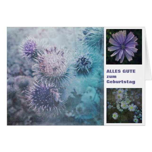 Distelblüten (Front Horizontal)