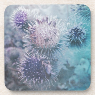 Distelblüten Coaster