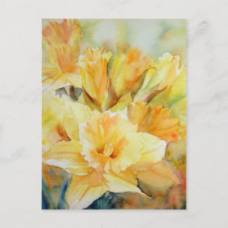 Distilled Sunlight Postcard