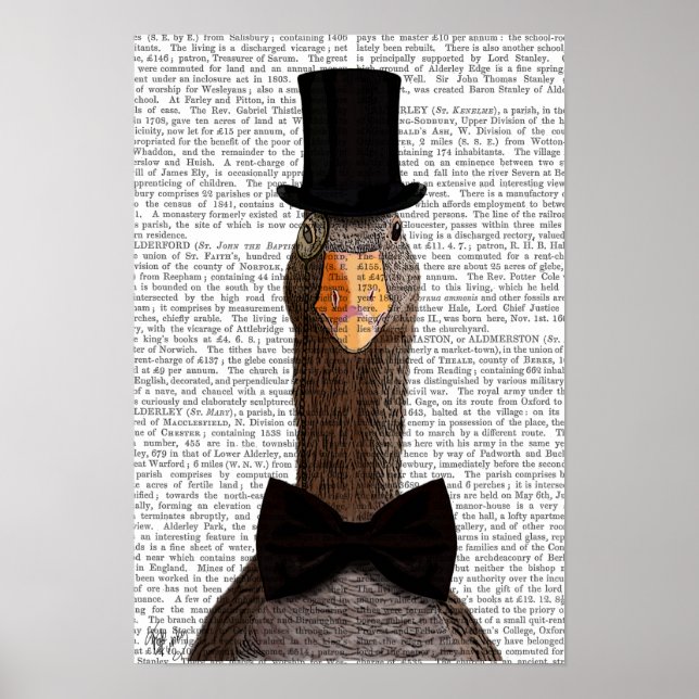 Distinguished Goose Poster (Front)