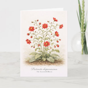 Distracta dispersissima - The Scattered Bloom Card
