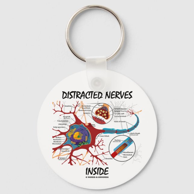 Distracted Nerves Inside (Synapse) Key Ring (Front)