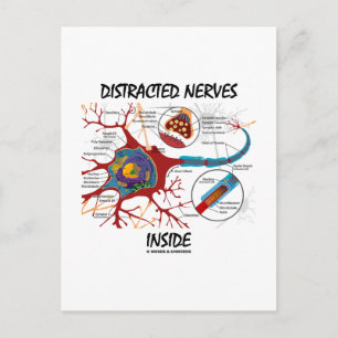 Distracted Nerves Inside (Synapse) Postcard