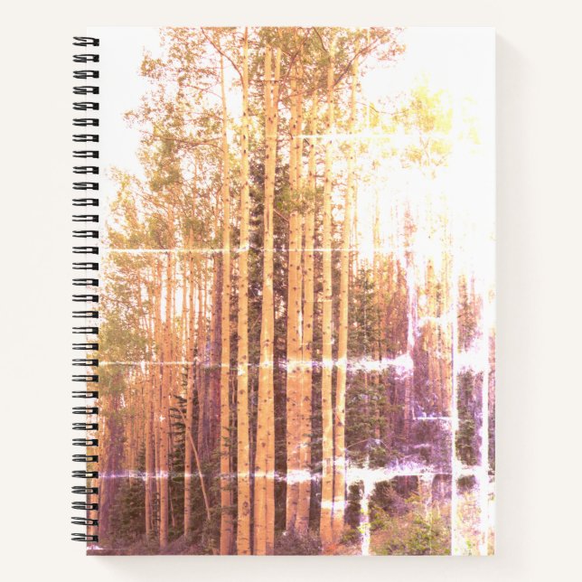 Distressed Aspen Grove Notebook (Front)