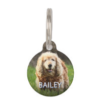 Distressed Beachy Monogram Name Address Pet ID Tag